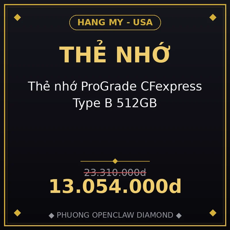 Thẻ nhớ ProGrade CFexpress Type B 512GB